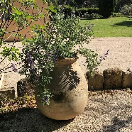 B&B Des Pignes -adults Only